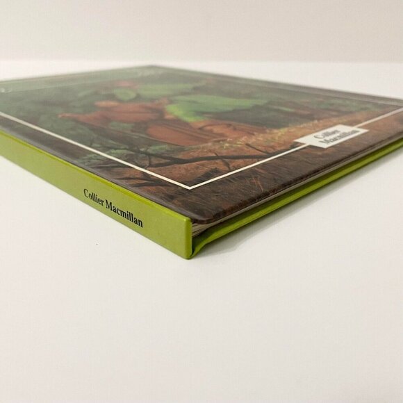 Vtg 1981 Robin Hood and His Merry Men Retold by Enid Blyton Collier - Picture 5 of 16